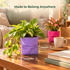 Dopamine desk pots (Set of 2)
