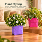 Dopamine desk pots (Set of 2)