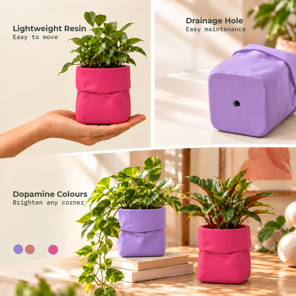 Dopamine desk pots (Set of 2)