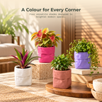 Dopamine desk pots (Set of 2)