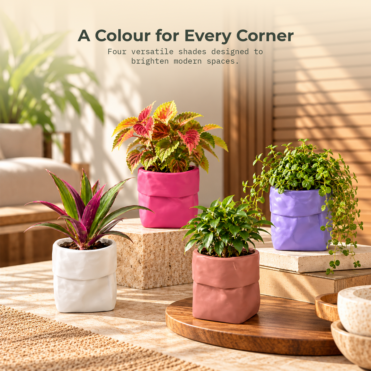 Dopamine desk pots (Set of 2)