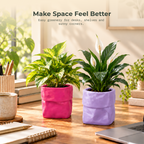 Dopamine desk pots (Set of 2)