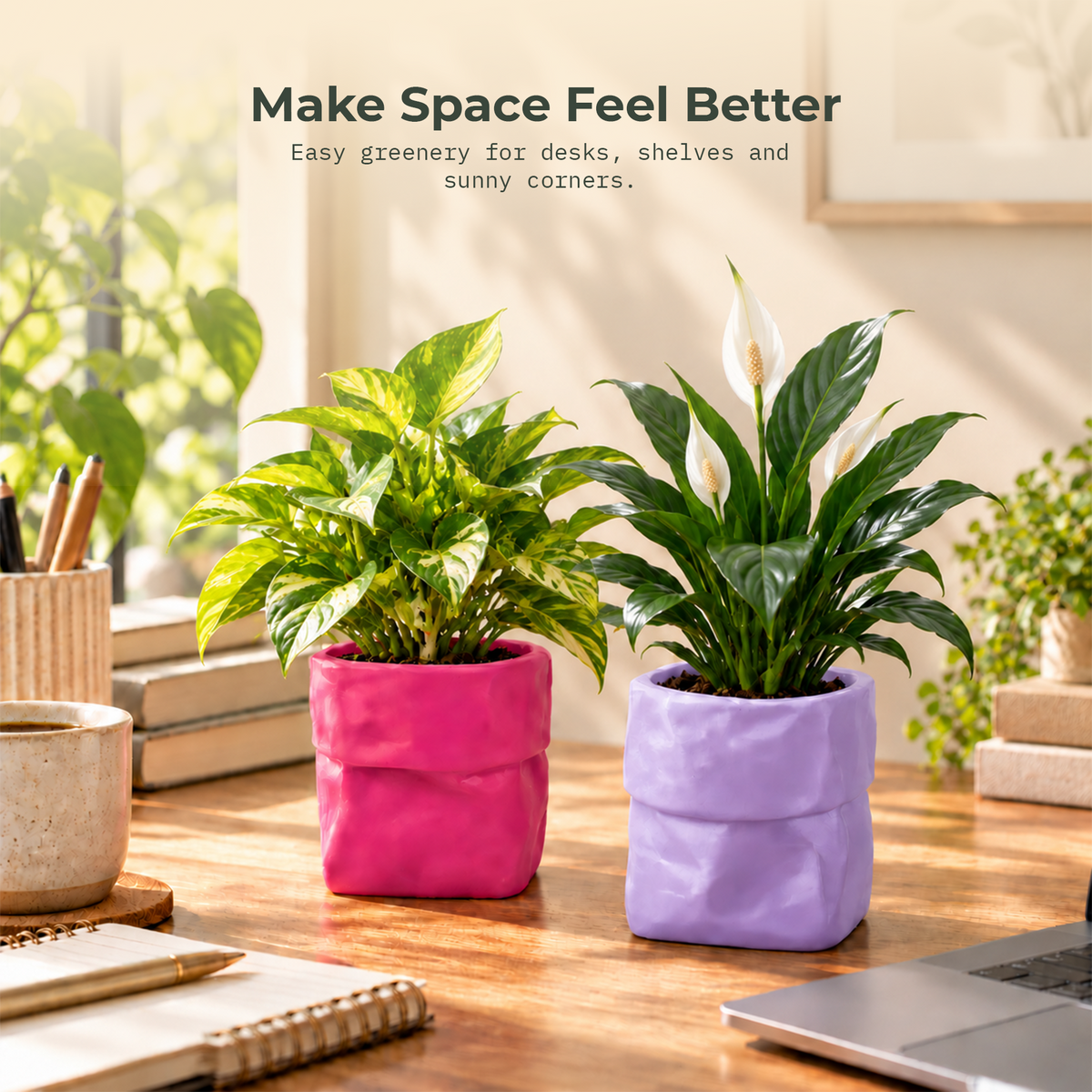 Dopamine desk pots (Set of 2)