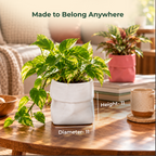 Dopamine desk pots (Set of 2)