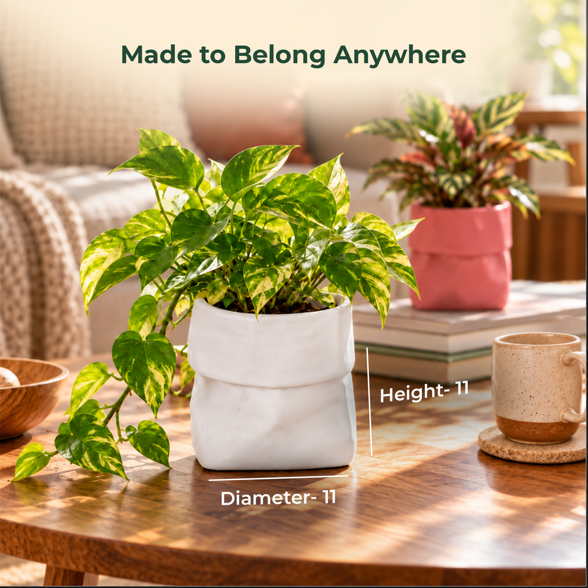 Dopamine desk pots (Set of 2)