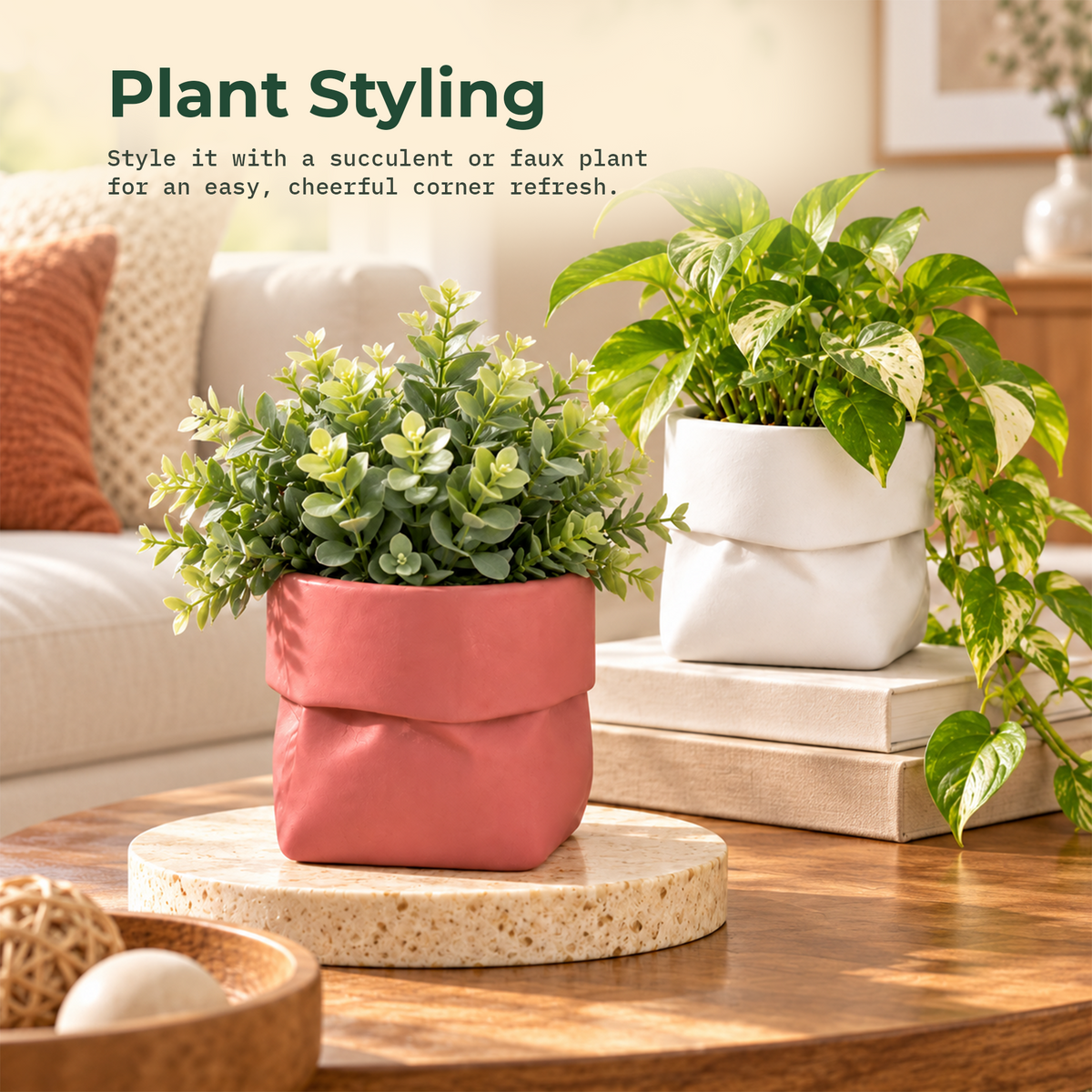 Dopamine desk pots (Set of 2)