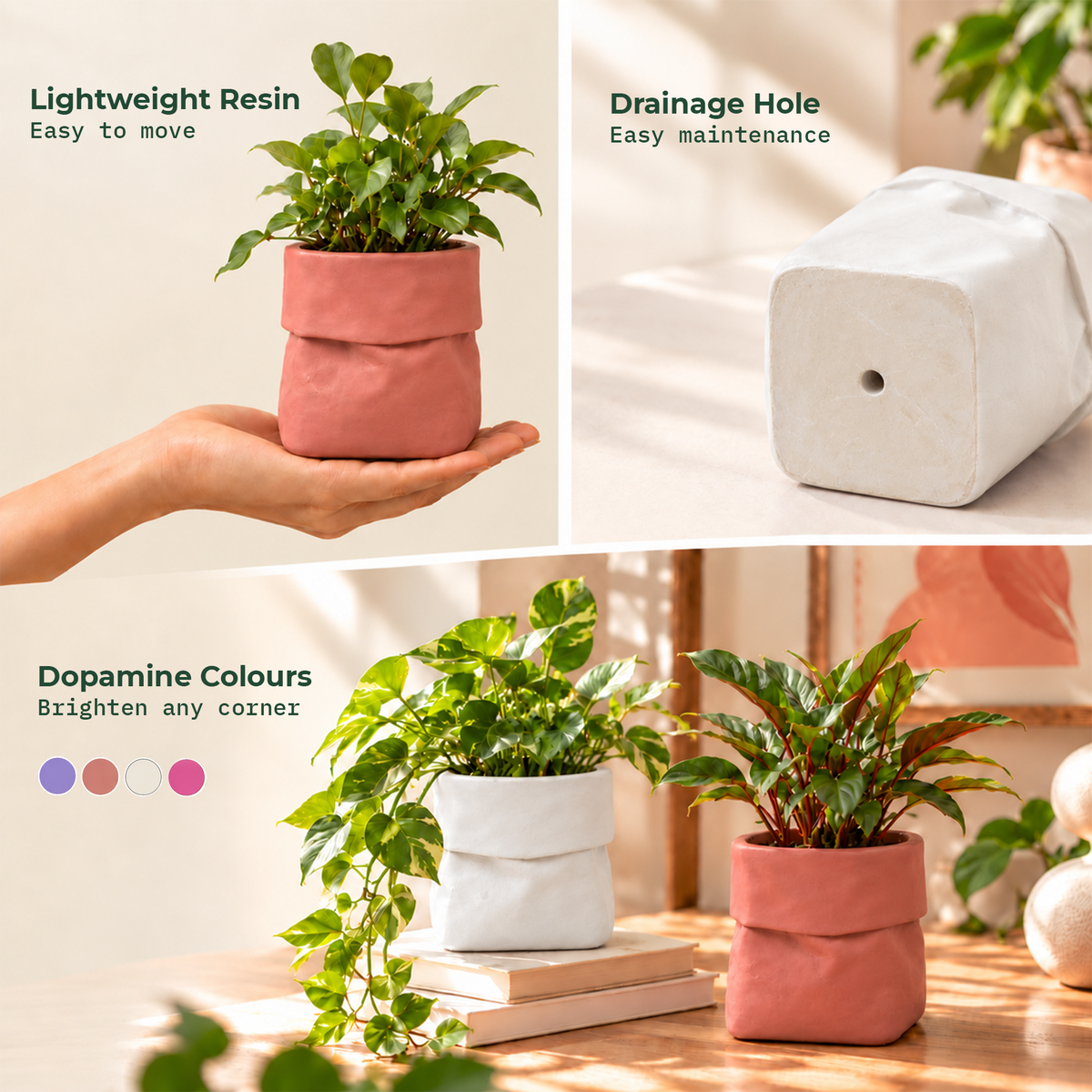 Dopamine desk pots (Set of 2)