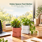 Dopamine desk pots (Set of 2)
