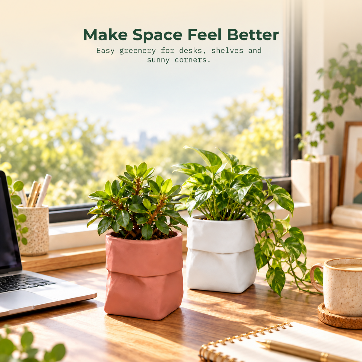 Dopamine desk pots (Set of 2)